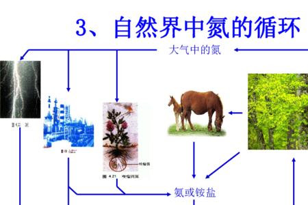 自然固氮是氧化还原反应吗