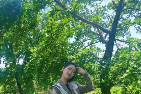 随便走走可以用什么词