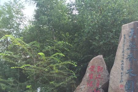 为什么叫上甘岭国家森林公园