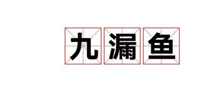 形容管的宽的网络流行语