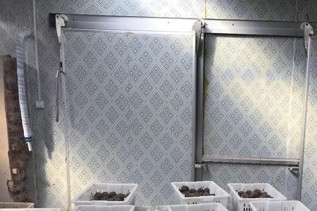 储存梨的冷库一般温度是多少的