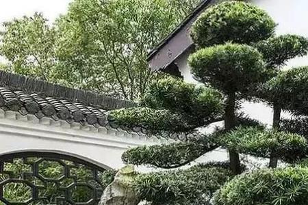 稍作是什么意思