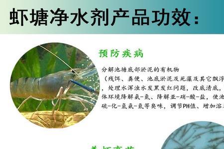 蚊蝇净水剂怎么使用