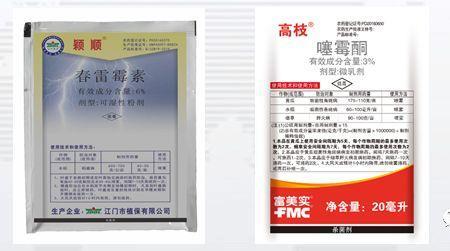 橙亮能灌根吗