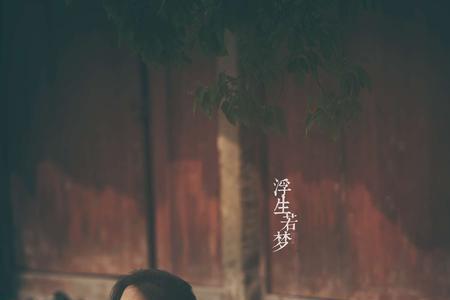 青春韶华随风去的下一句