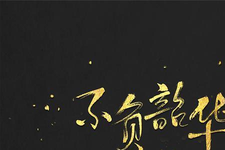 惟愿不负韶华什么意思