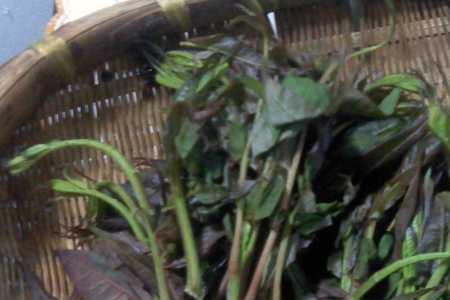香椿酱豆的腌制方法