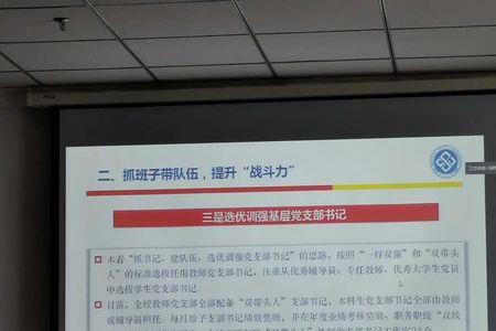 高校双带头人指什么