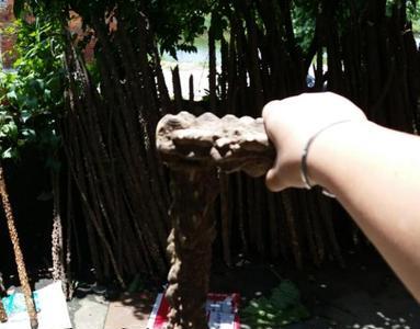 花椒木被虫钻了还能做拐杖吗