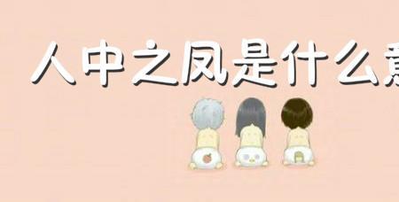 人中之凤什么意思