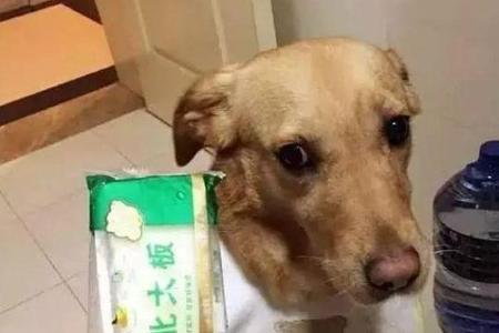 啃一口什么意思
