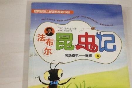 昆虫记隧蜂的生长过程
