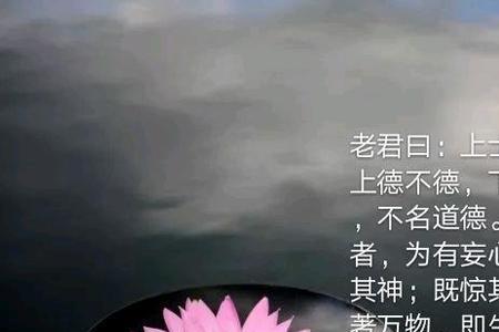 善者善之恶者自恶原文