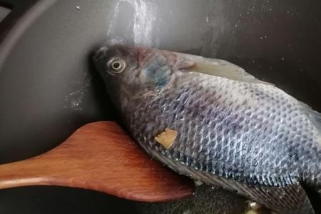 罗曼鱼的做法是什么