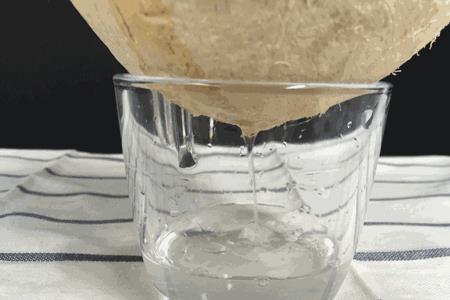椰果能用来泡开水吗