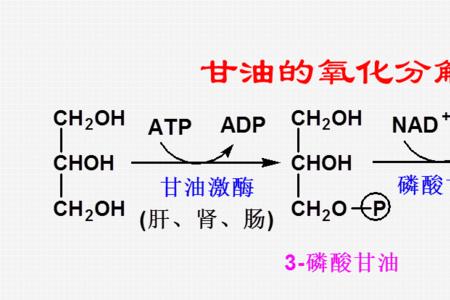 甘油分子结构示意图