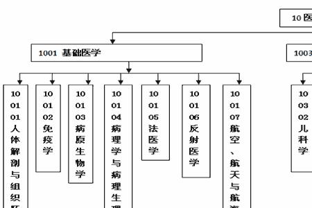 医学图像处理研究生就业去向