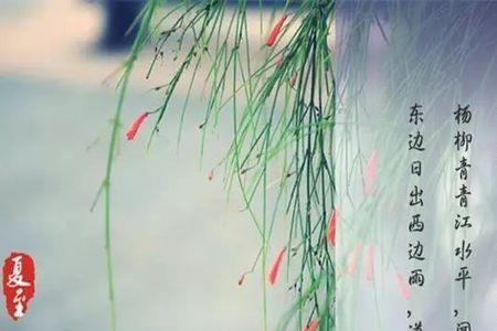 夏至 诗经