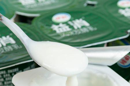 牛奶放酸奶里会发酵吗