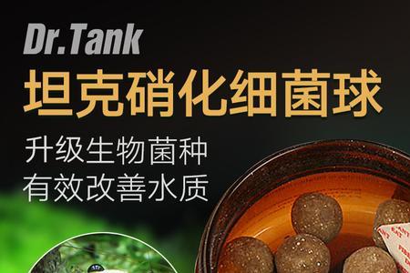 硝化细菌32度还能存活吗