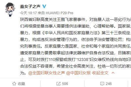 蓄意家暴的定义