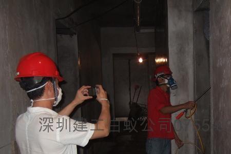 烧碱可以防白蚁吗