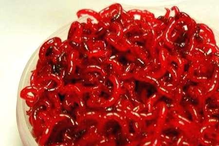 红虫怎么喂好吃