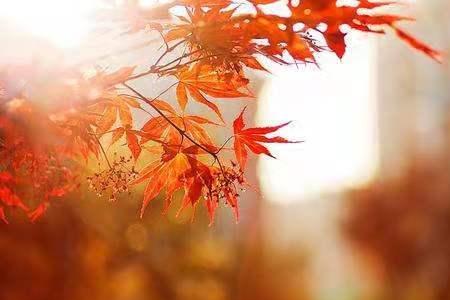 撺忙什么意思