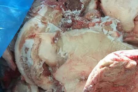 不剥皮300斤猪出多少斤肉
