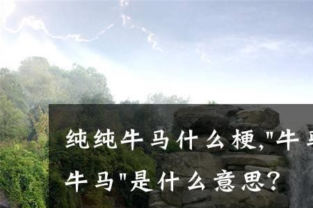 长得像牛马是什么意思