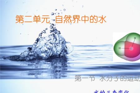水分子什么梗