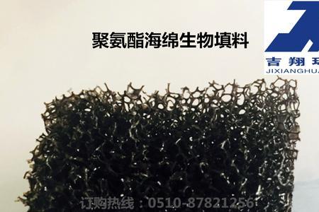 生物海绵介绍