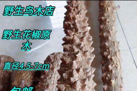 花椒木刷多久的油