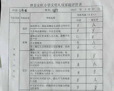 文明小宣传员评语