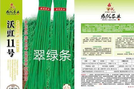 沃豆19豆种介绍