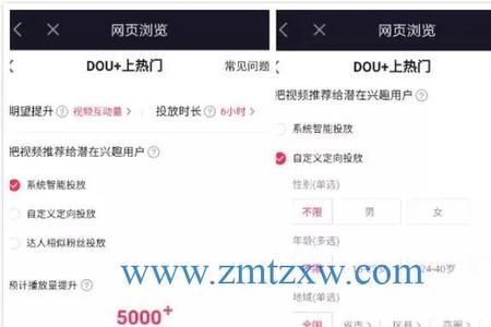 投放金额什么意思