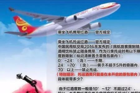 12岁坐飞机规定
