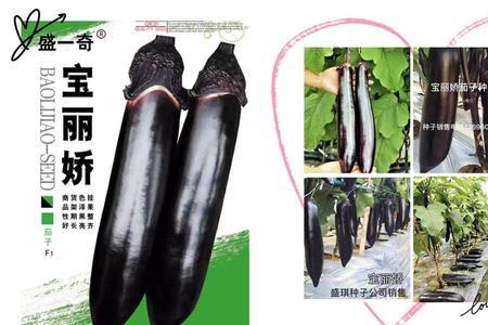 茄子种子一克多少粒