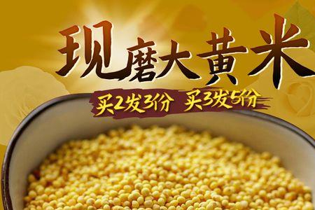 小黄米与大黄米哪个是转基因