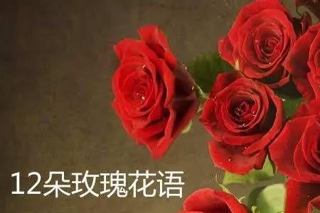 365在爱情里代表什么意思