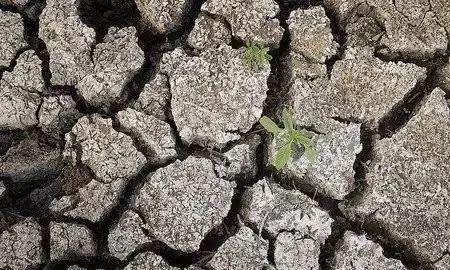 西班牙东部缺水原因