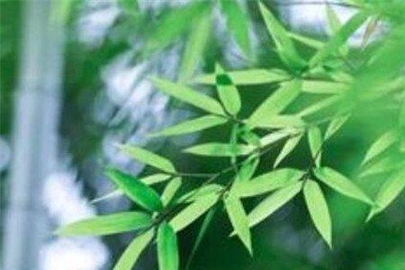 君子雅称什么
