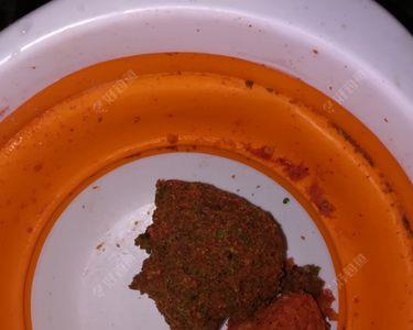 夏季钓鲤鱼用红薯味还是果酸