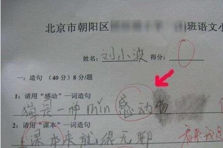 用如果但就造句