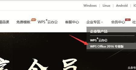 wps为什么有名字搜索不出