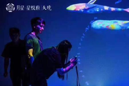 全息式是什么意思