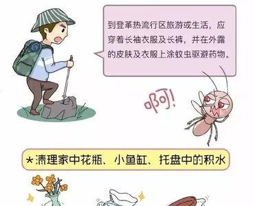 24小时哪个时间段灭蚊最好