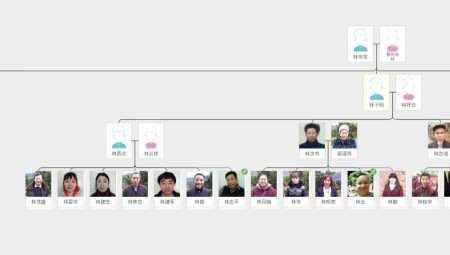 叔公和侄孙算直接关系吗