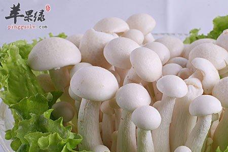 白玉菇发绿能吃吗