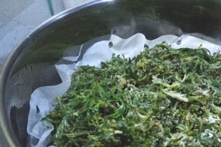 苜蓿菜为什么要放碱面